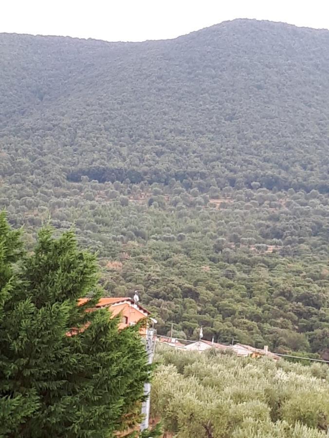 B&B Porta Del Gargano Сан-Марко-ін-Ламіс Екстер'єр фото