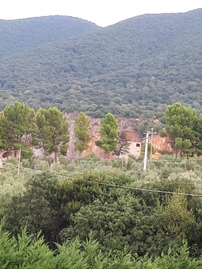 B&B Porta Del Gargano Сан-Марко-ін-Ламіс Екстер'єр фото